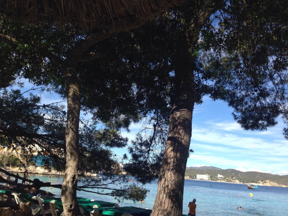 Ausblick Hotel Cala Fornells