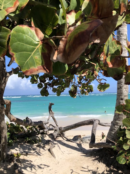 Strand Hotel Riu Palace Bavaro