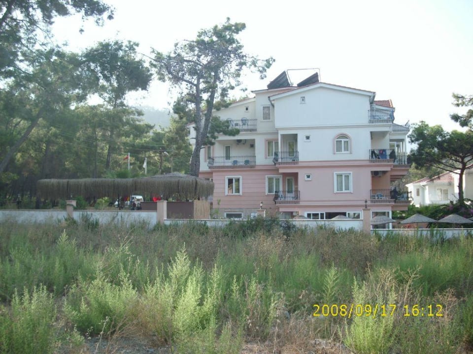 Rückansicht des Hotels Hotel Forest Park