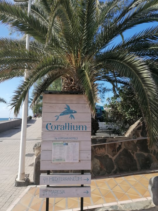 Strand Corallium Beach by Lopesan Hotels - Adults only
