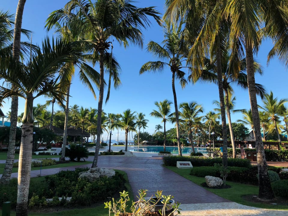 Gartenanlage Dreams La Romana Resort & Spa