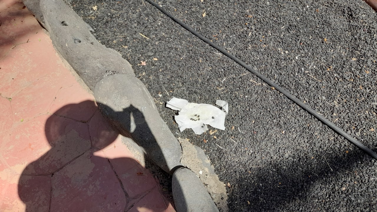 Gartenanlage SBH Hotel Royal Monica