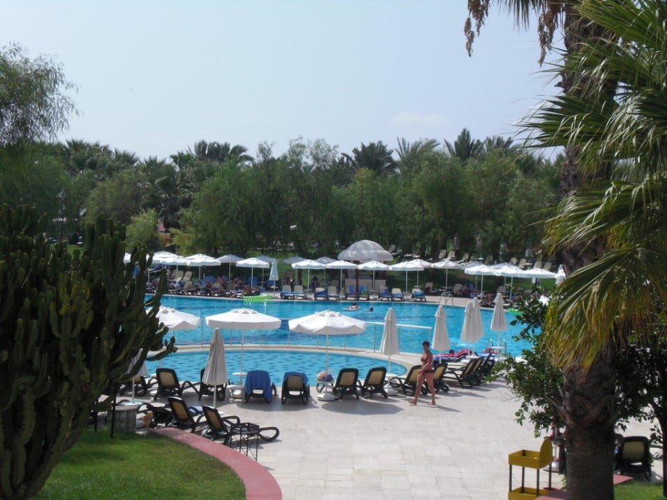 Aktivity Pool Monachus Family Resort Sorgun