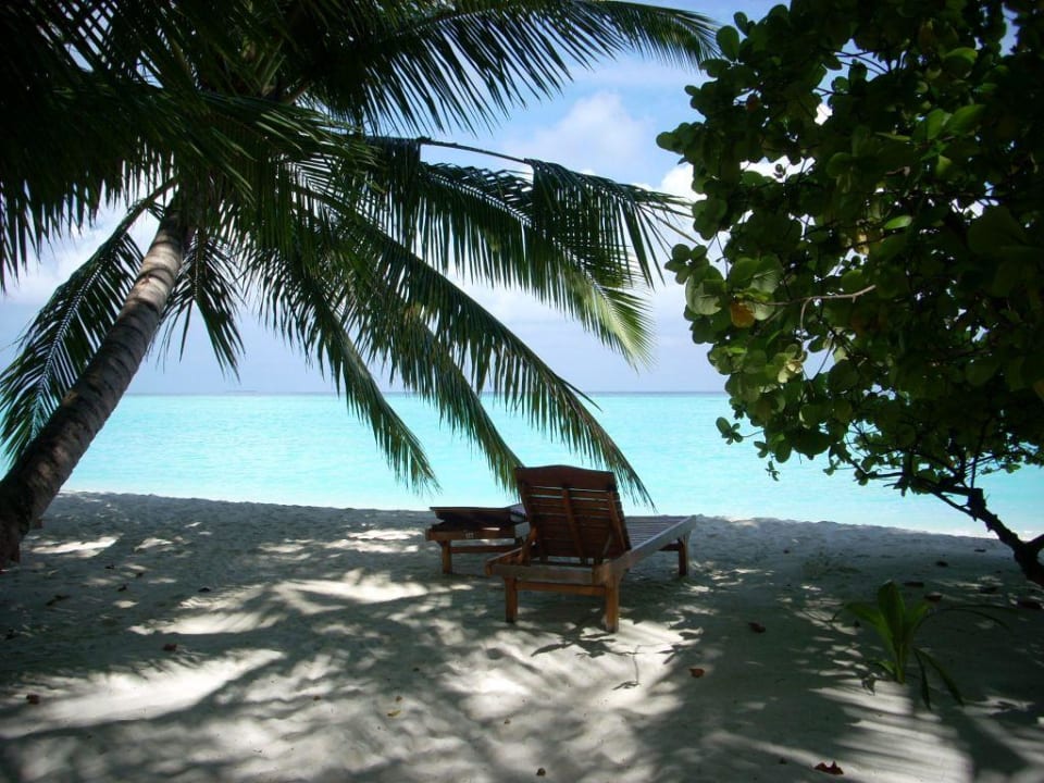 Liegen am Strand Villa Park Sun Island