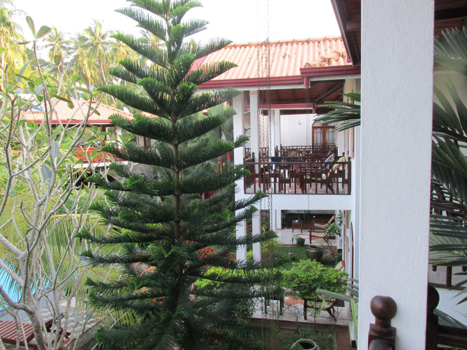 Blick aus dem Zimmer Hotel Bentota Village