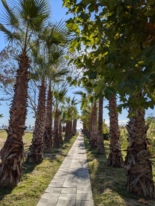 Gartenanlage Alexandra Golden Boutique - Adults only