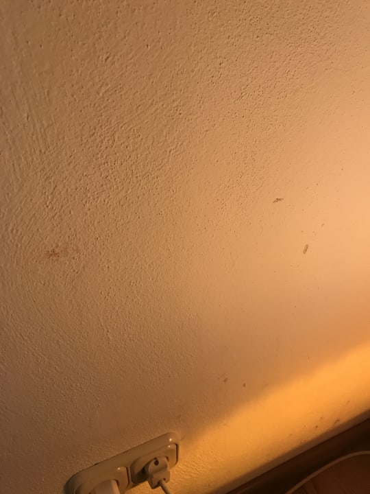 Zimmer Sonnenwald Hotel