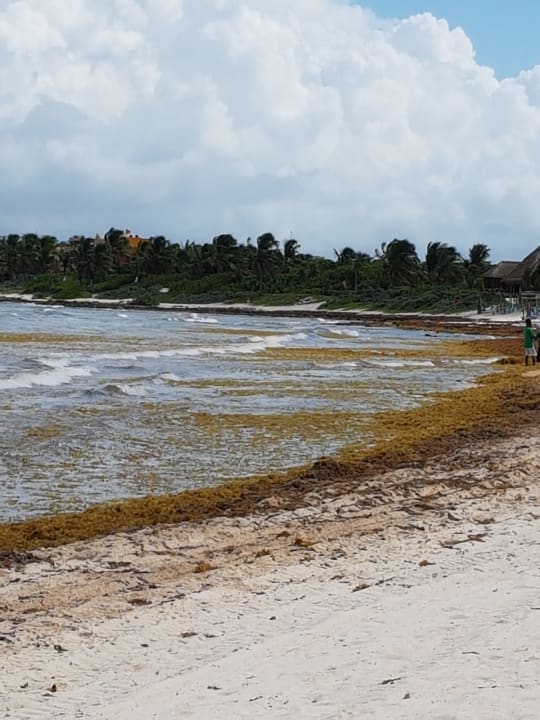 Strand Akumal Bay Beach & Wellness Resort