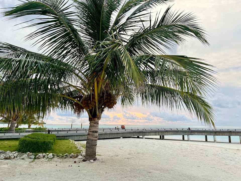 Strand Cocoon Maldives