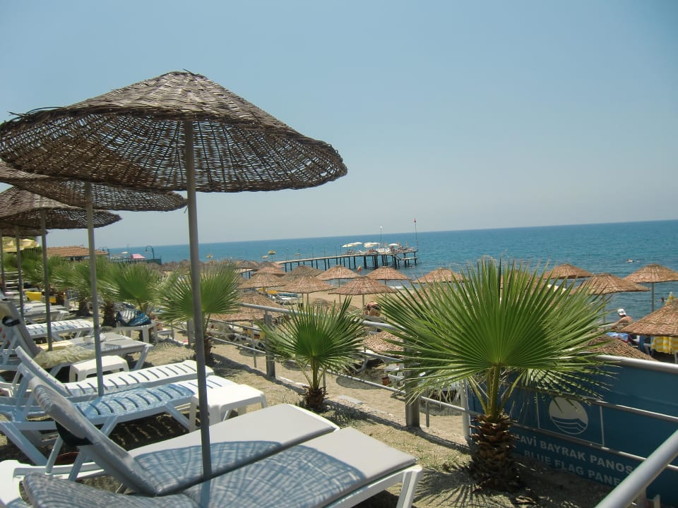 Saubere Liegen Club Dizalya