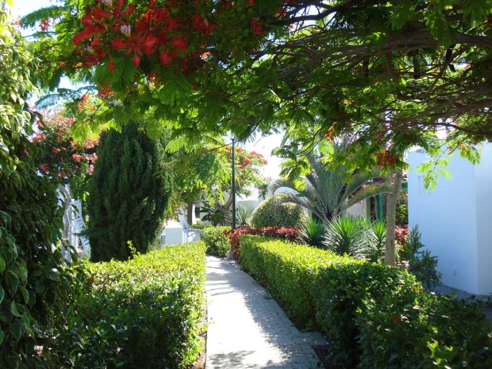 Weg zum Bungalow Bungalows Cordial Sandy Golf