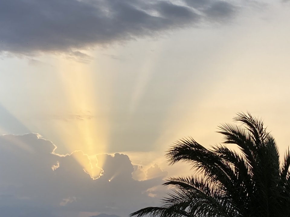 Ausblick Dimitra Beach Hotel & Suites