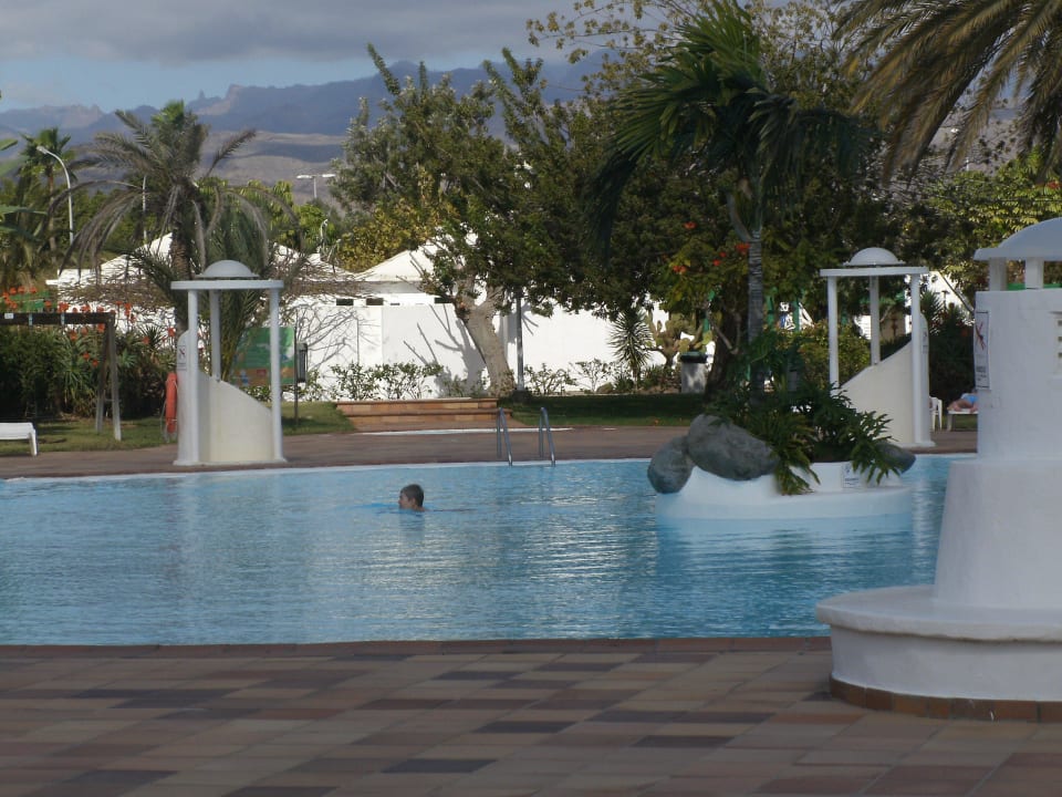 Einladung zum Schwimmtraining Bungalows Cordial Sandy Golf