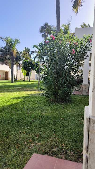 Gartenanlage Alua Suites Fuerteventura