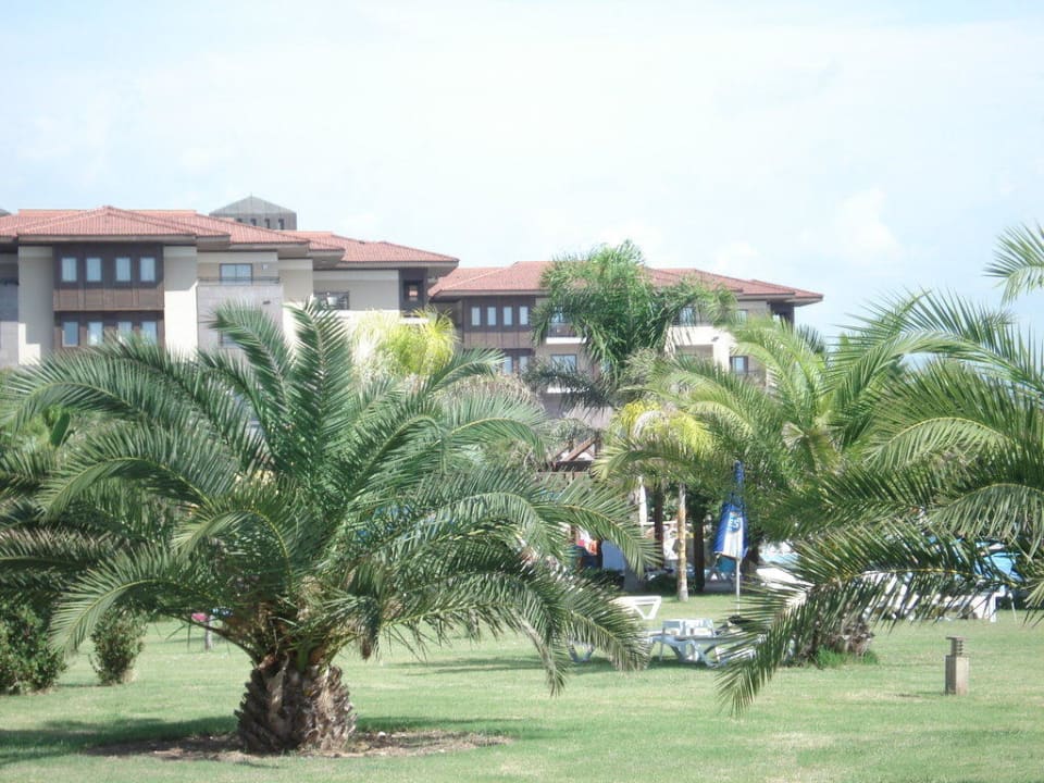 Ausblick aus der Lobbybar Calimera Serra Palace