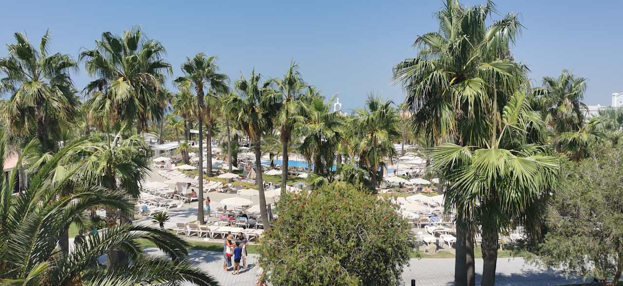 Gartenanlage Hotel Riu Chiclana