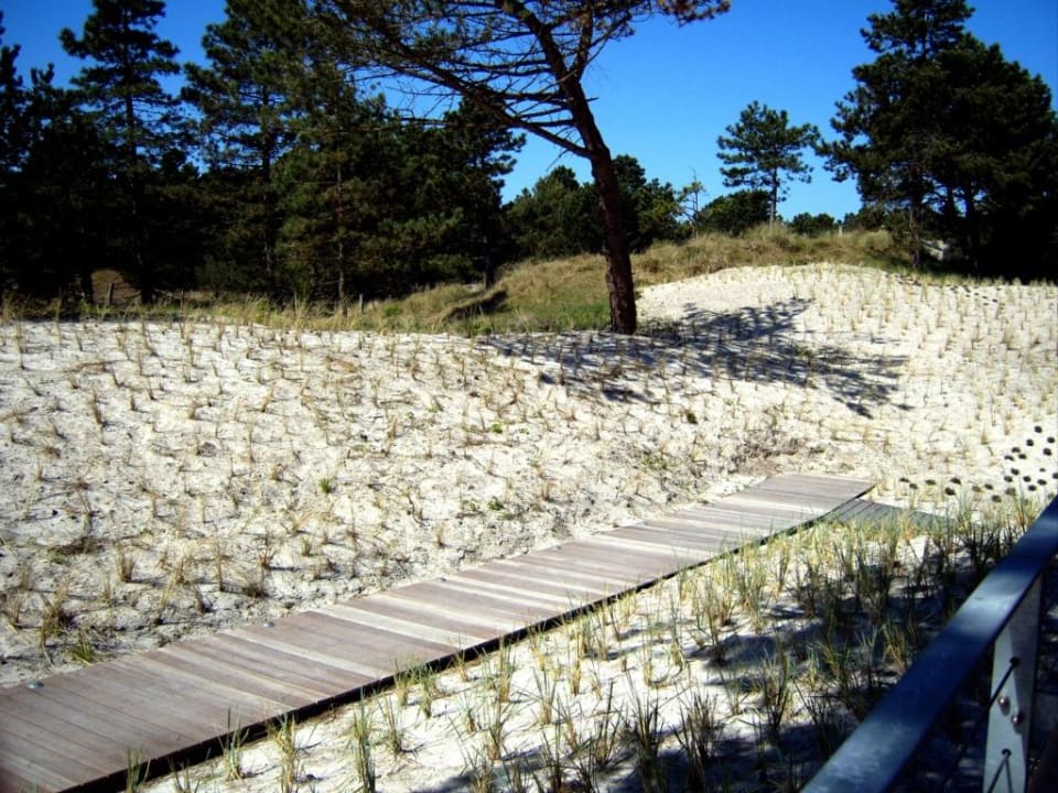 Hinterm Haus. Hotel Windschur