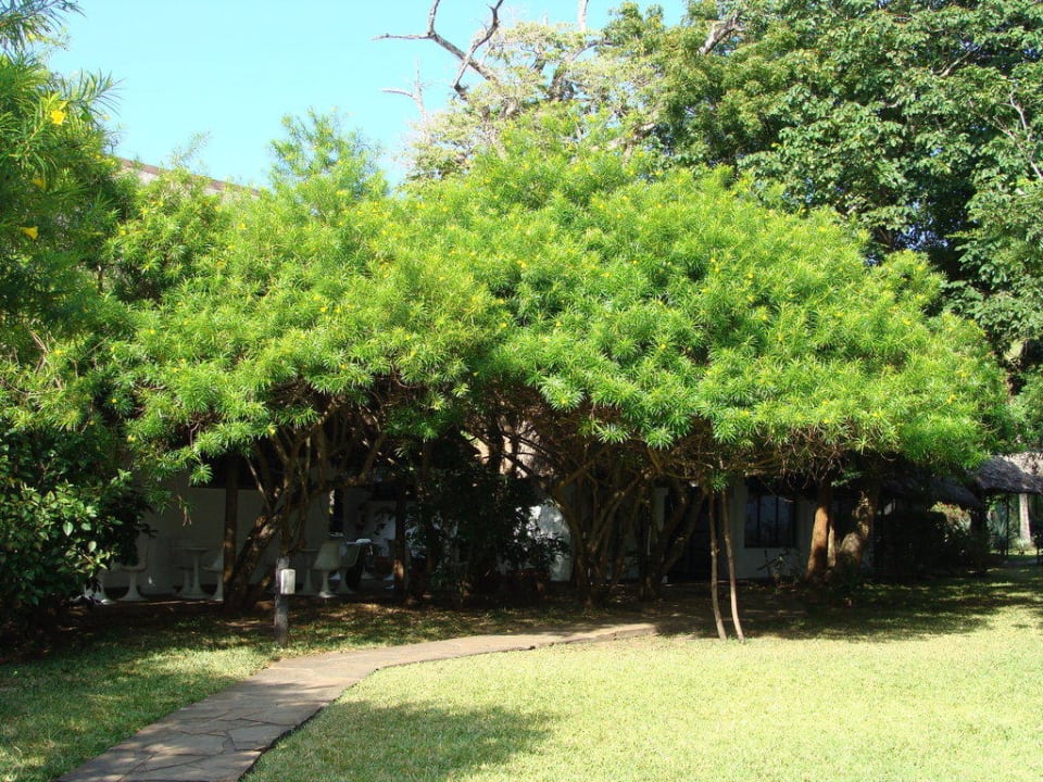 Baum Hotel Papillon Lagoon Reef