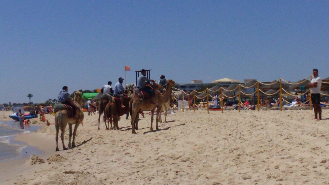 Für die Kinder Zoo ganzen Tag. Hotel Nesrine