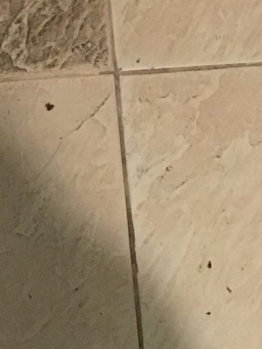 Zimmer The Green Park Resort