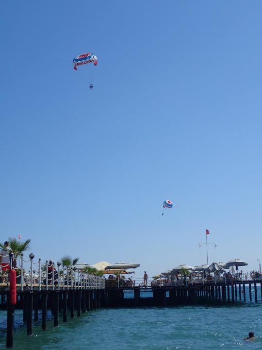 Strand Royal Seginus