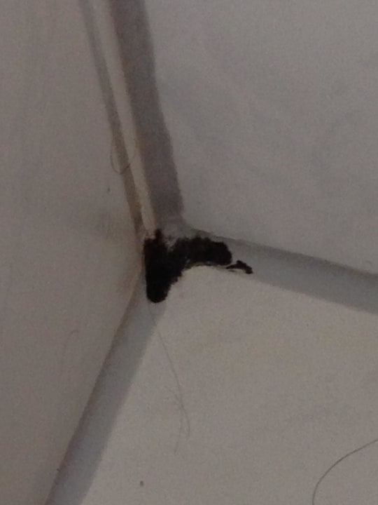 Bad Hotel Zur Alten Schmiede