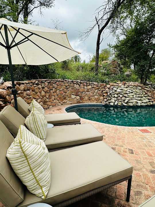 Pool Sabi Sabi Little Bush Camp