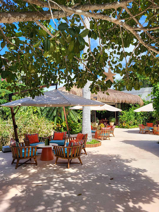 Gastro Secrets Akumal Riviera Maya - Adults only