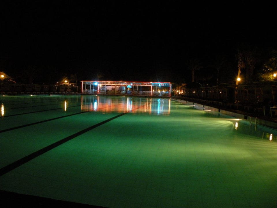 Pool und Bar Arabia Azur Resort