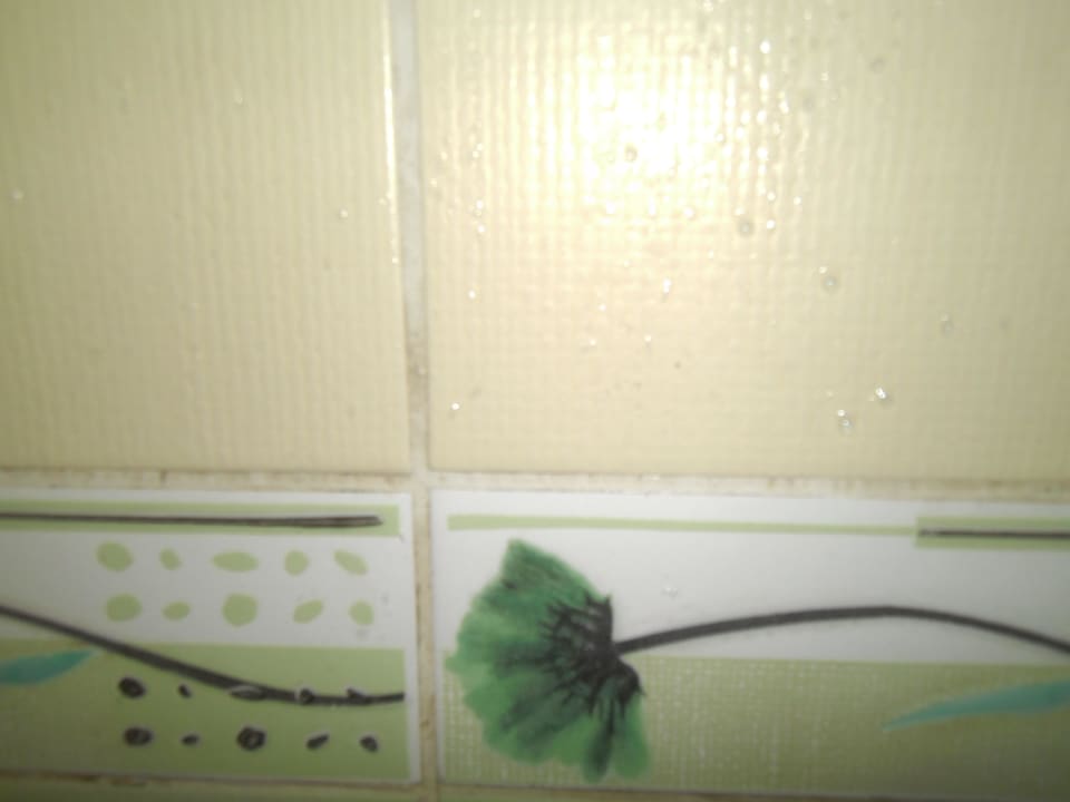 Verschimmelte Fugen Hotel Orfeus Park