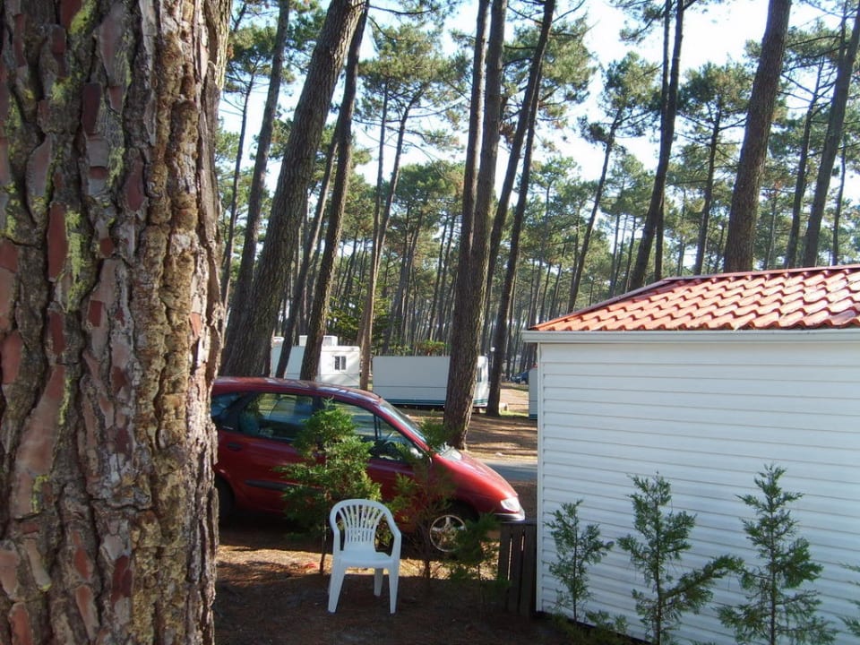 Blick über den Platz Camping Airotel Le Vieux Port