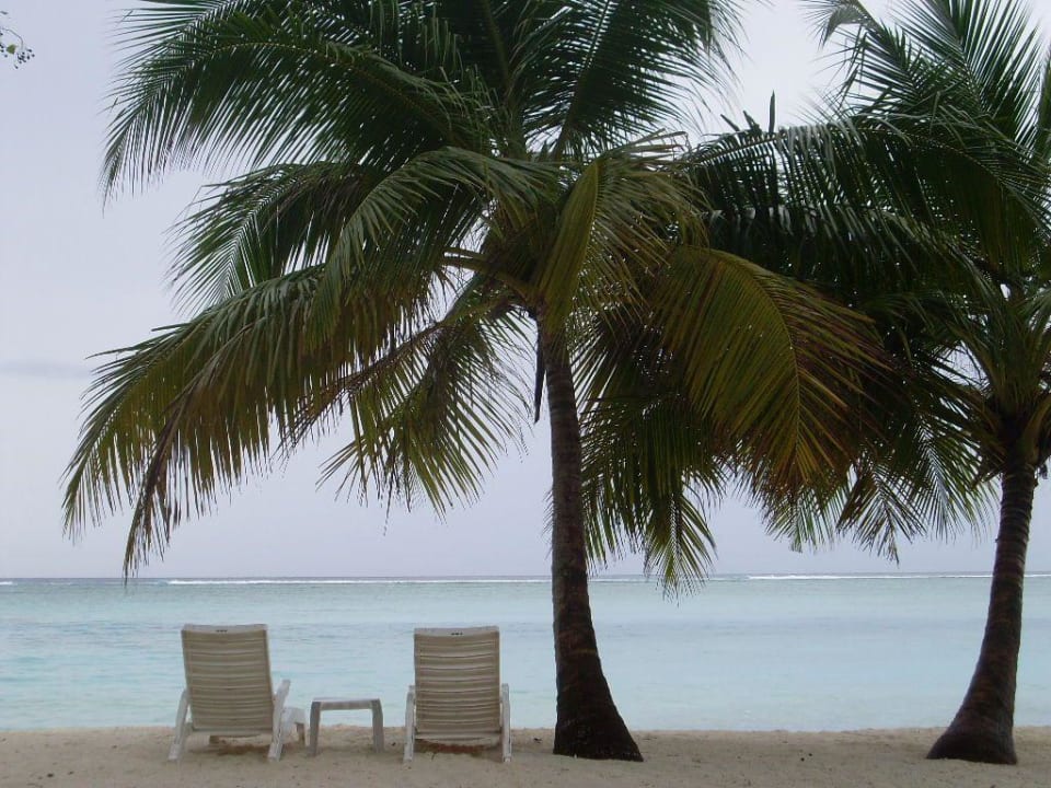 Aussicht von 247 und 248 Meeru Maldives Resort Island