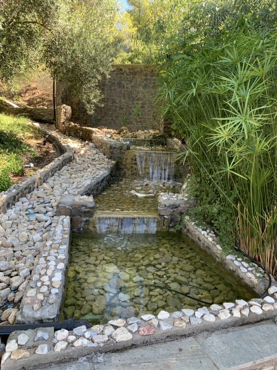 Gartenanlage Poseidon Hotel Sea Resort