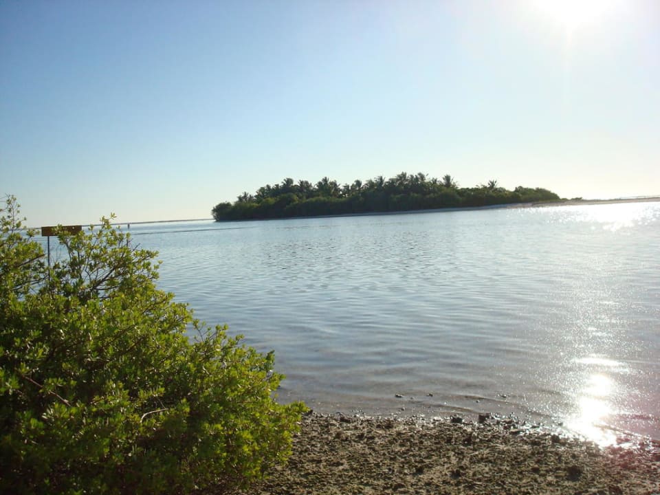 Meer mal anders  Cinnamon Hakuraa Huraa Maldives - Adults-Only