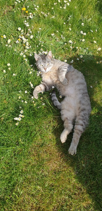 Gartenanlage Spreewaldpension Beesk