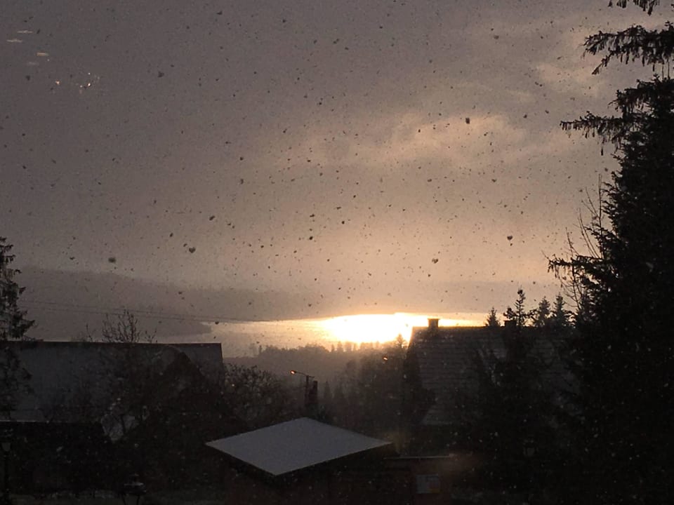 Widok z okna Kinga Hotel Wellness