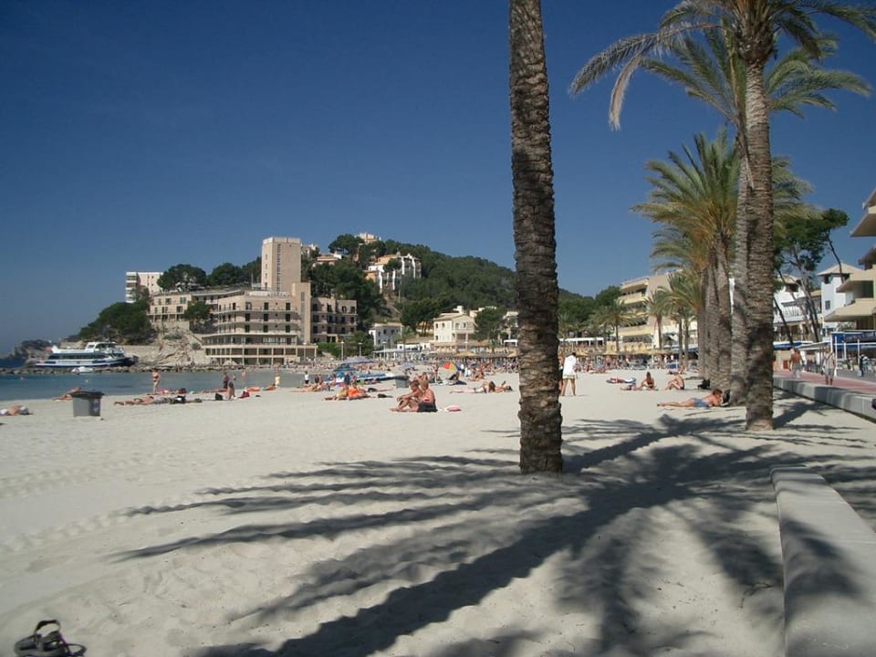 Super Strand Paguera Treff Boutique Hotel