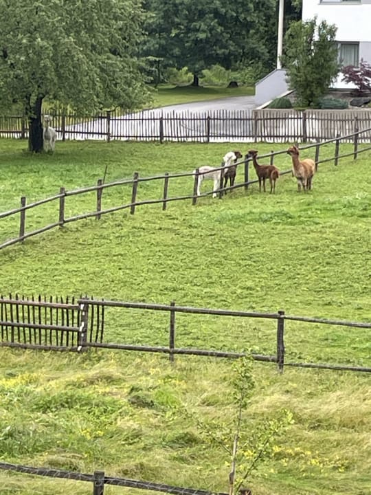 Ausblick Natur Resort Rissbacher