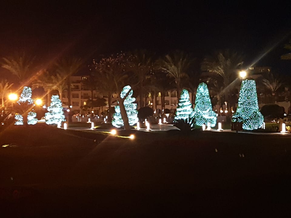 Garten Pickalbatros Dana Beach Resort - Hurghada