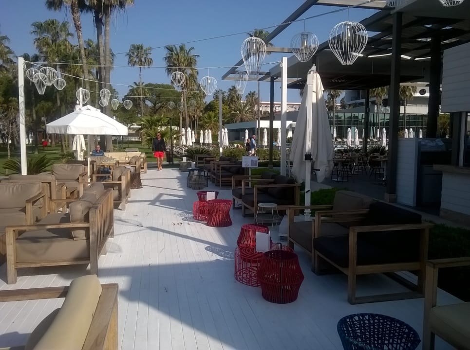 Gastro Acanthus Cennet Barut Collection