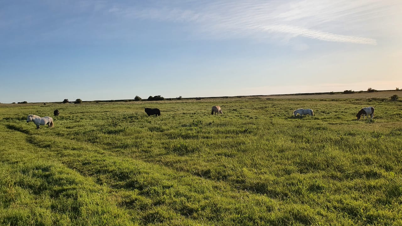Außenansicht Rügen-Ferienhof