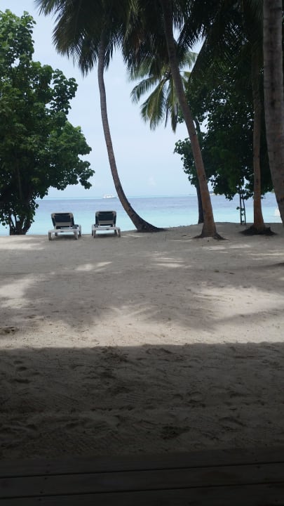 Strand vor dem Bungalow Vilamendhoo Island Resort & Spa