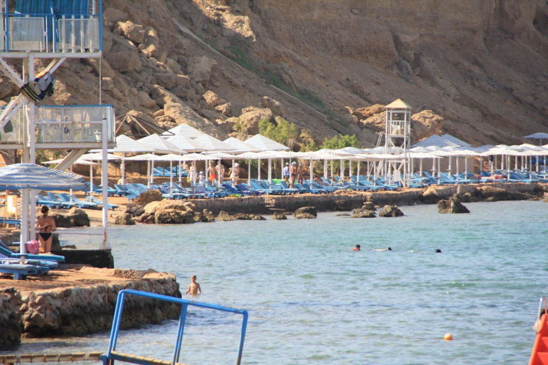 Strand Albatros Sharm Resort