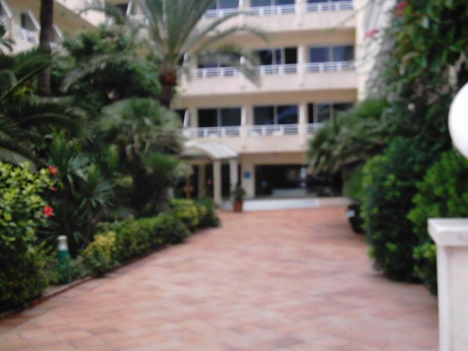 eingangsbereich The Sea Hotel by Grupotel - Adults only