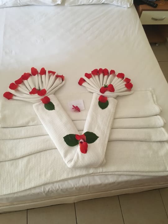 Zimmer Oz Hotels Incekum Beach