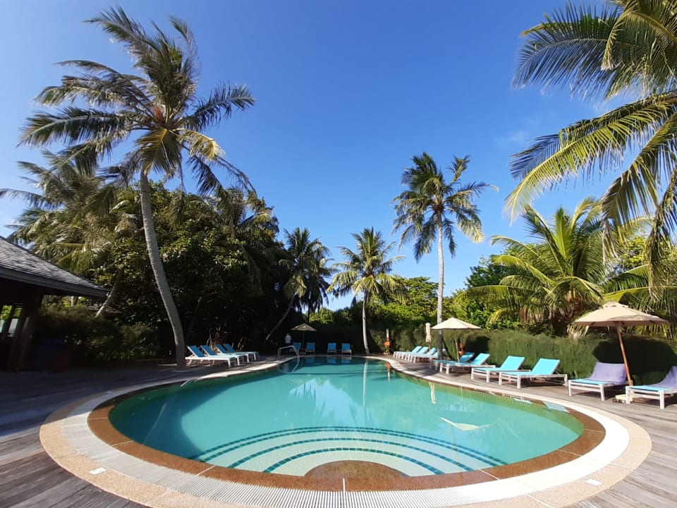 Pool Kuredu Island Resort & Spa