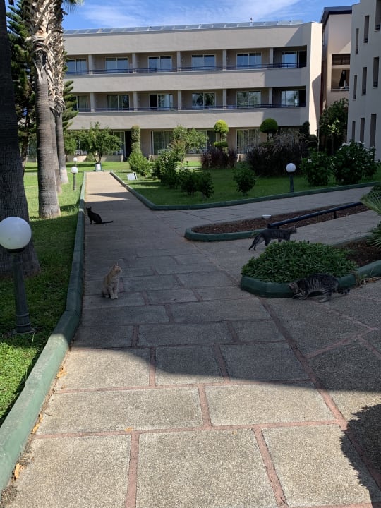 Außenansicht Labranda Alantur Resort