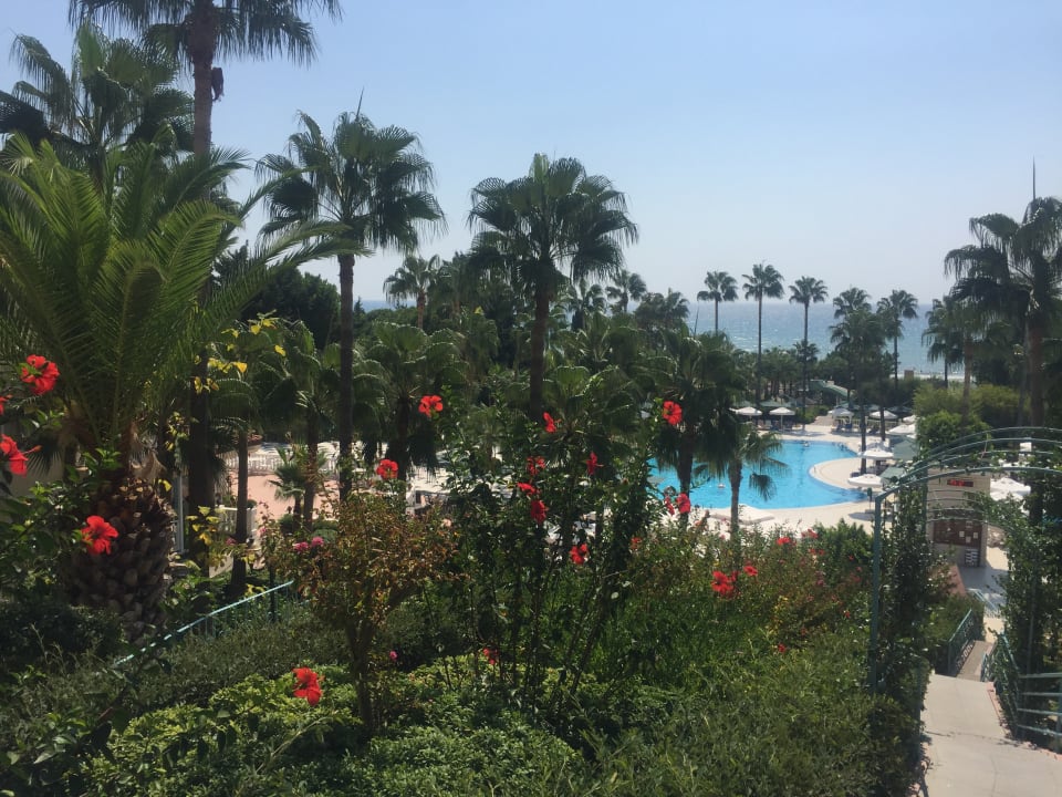 Gartenanlage Iz Flower Side Beach Hotel