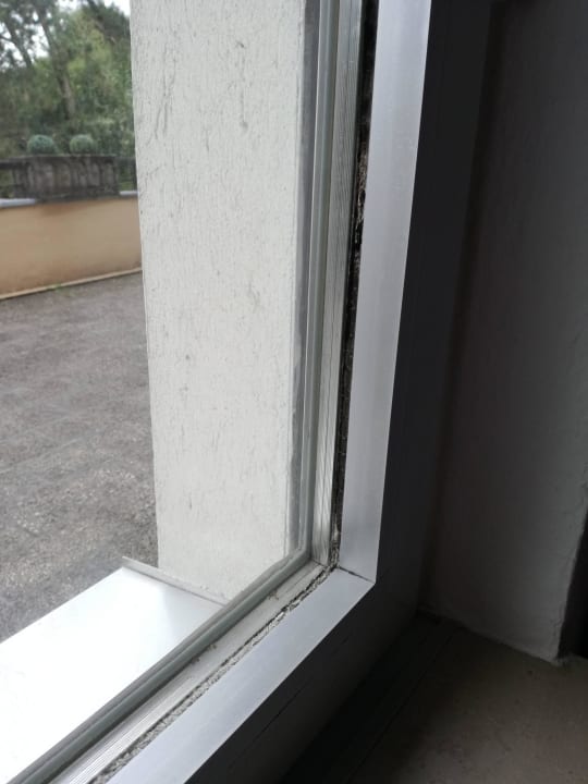 Zimmmerfenster... Hotel Am Oppspring