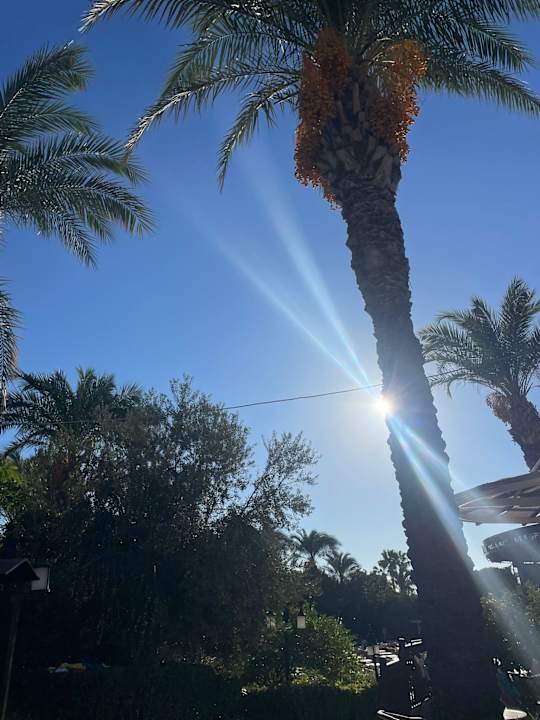 Sonstiges Sunis Kumköy Beach Resort Hotel & Spa